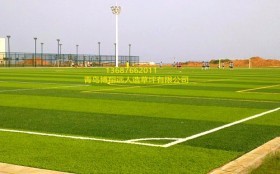 湖南省衡阳市幼儿园专用人工草坪批发指南 安全环保与性价比兼得